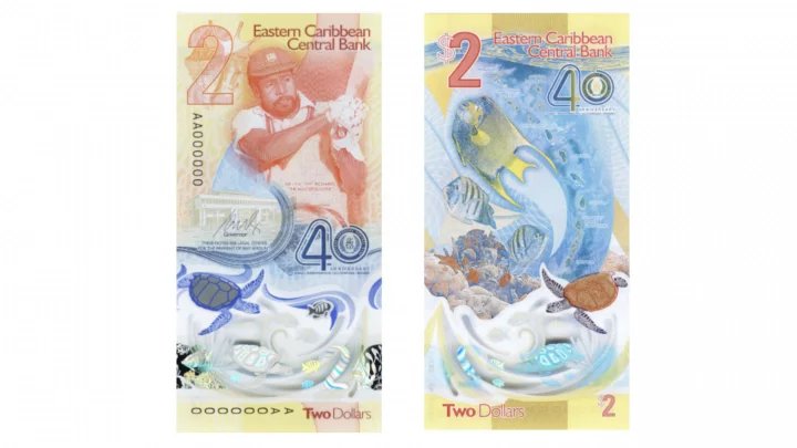 Nejkrásnější novou bankovkou vydanou v roce 2023 je východokaribský dvoudolar, kterým se platí v šesti státech a dvou britských teritoriích. Rozhodli o tom členové Mezinárodní společnost pro bankovky (IBNS).