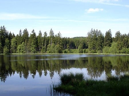 Camp Velkopařezitý