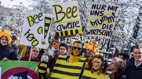 Náhledový obrázek - Rekordních počet Bavorů vytáhl do boje za ochranu včel