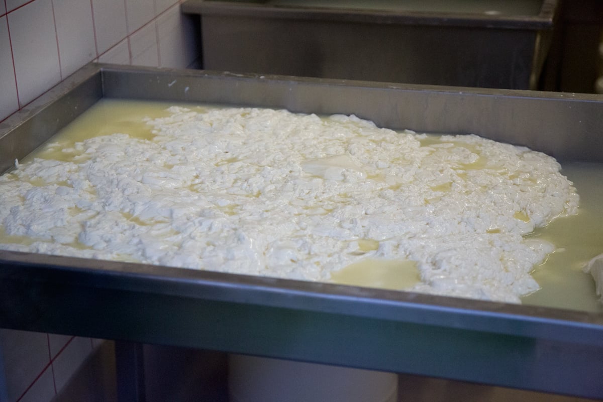 Nahlédněte do výrobny mozzarelly v pražských Nuslích.