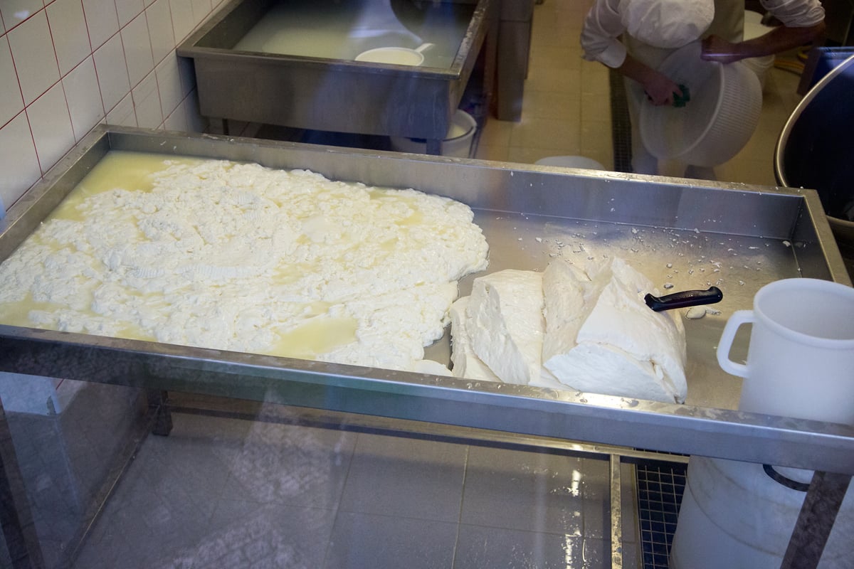 Nahlédněte do výrobny mozzarelly v pražských Nuslích.