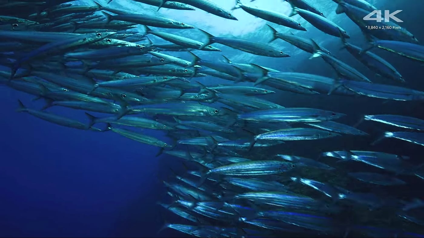 AK1 - Ukázky přehrávání