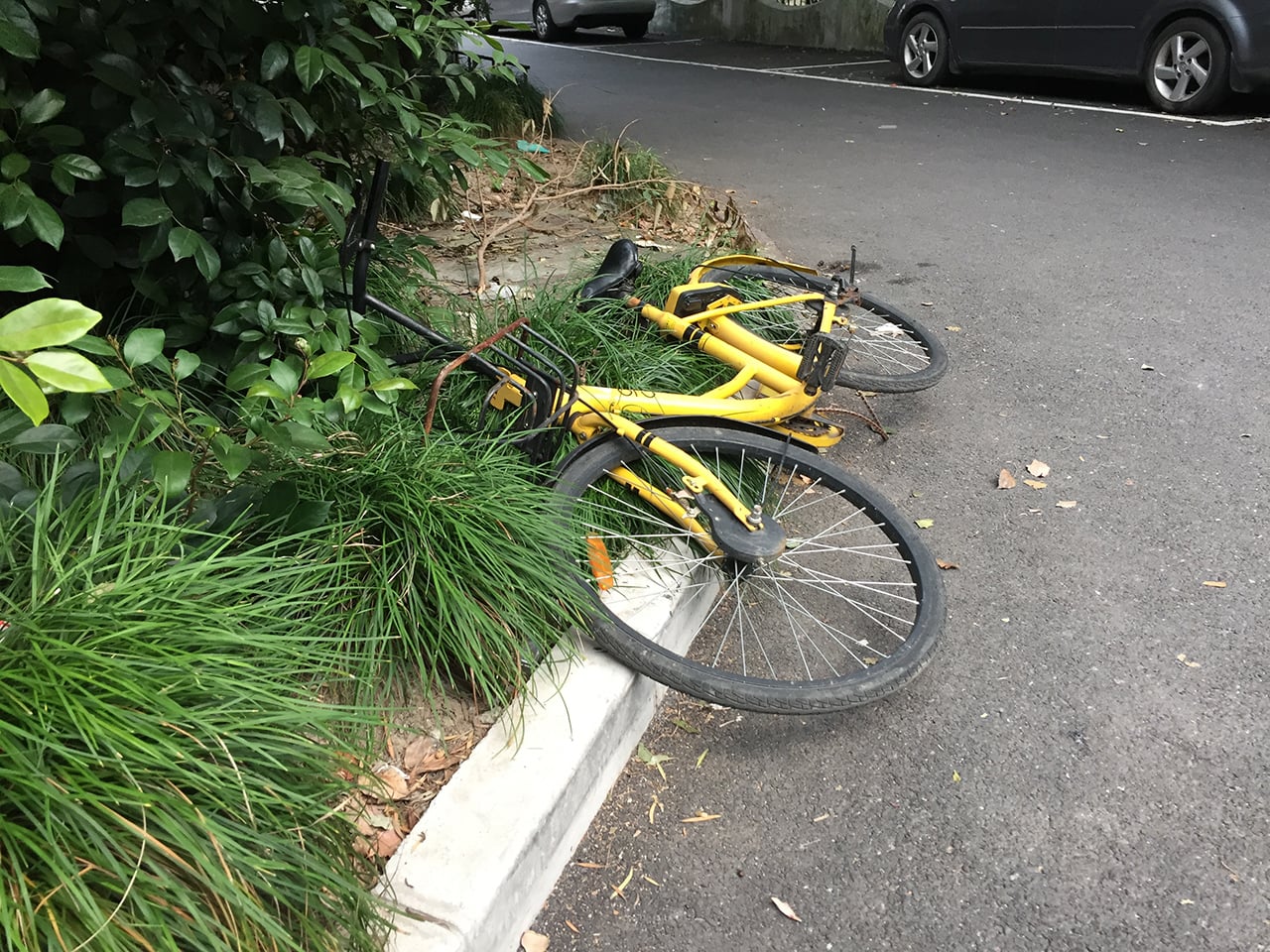 Bike sharing v Číně