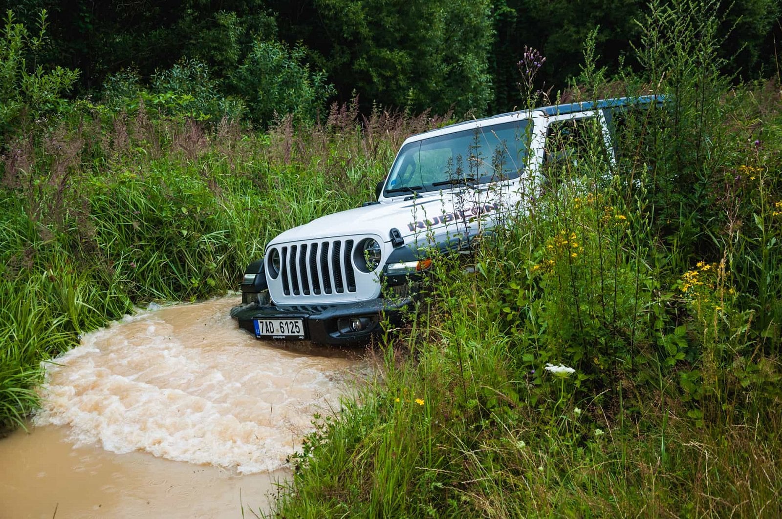 2019-08-jeep-wrangler-rubicon-31-of-67.jpg