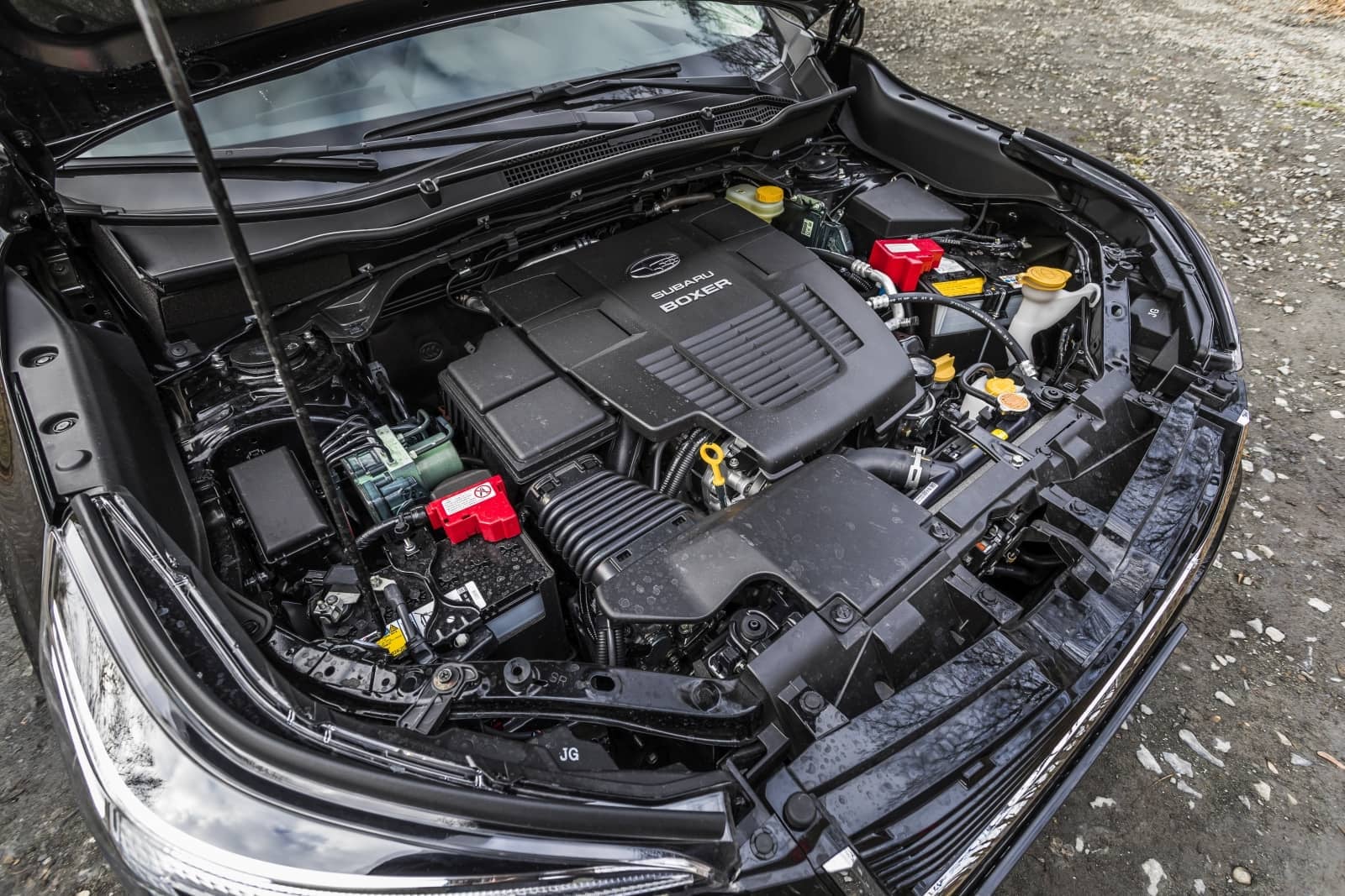 2020-04-aDMB2020_Forester-e-boxer-A7-6631.jpg