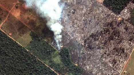 Náhledový obrázek - Brazílie čelí kritice za požáry v Amazonii. Macron obvinil Bolsonara ze lhaní