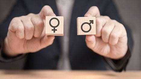 Náhledový obrázek - Nový Zéland si posvítí na nerovnost mužů a žen. Tamní firmy budou muset zveřejňovat rozdíly v platech