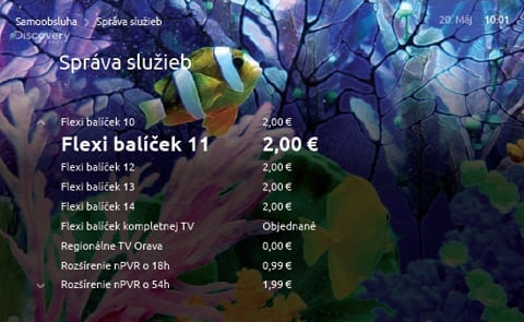 Flexi TV GUI