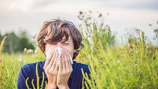 Náhledový obrázek - Antihistaminika se používají při léčbě alergie. Která jsou vhodná pro dospělé a jaká pro děti a těhotné ženy?