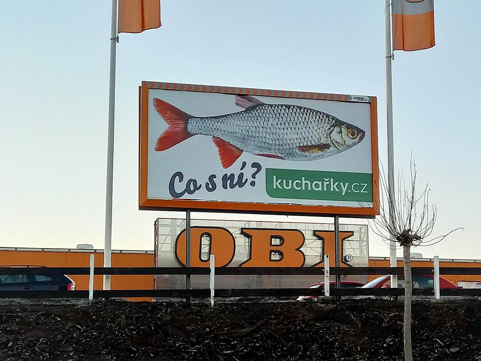 Nefunkční IDN v české doméně