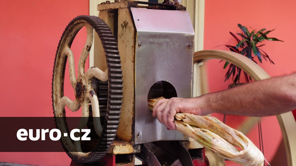 Producenti rumu na suchu. Cukrová krize na Kubě dopadá i na globální hráče jako LVMH či Pernod Richard