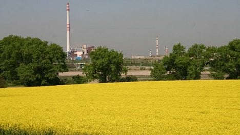 Náhledový obrázek - Peníze, nebo řepka. Zběsilé pěstování energetických plodin ničí půdu i podzemní vodu