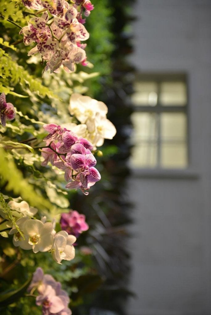 2016-05-jindc599ic5a1skc3a1-16-exkluzivnc3ad-kancelc3a1c599skc3a