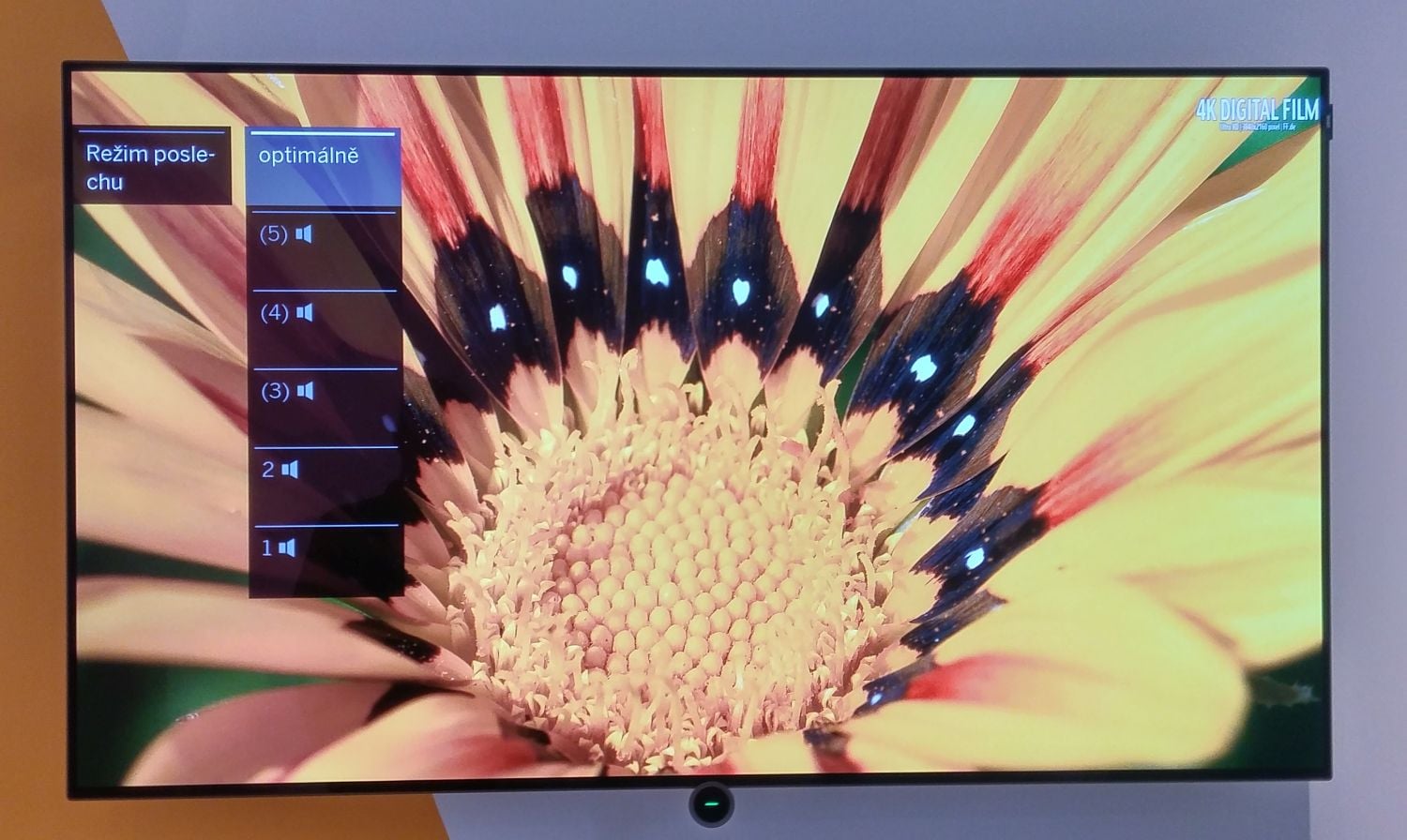 Loewe Bild 7 - menu nastavení