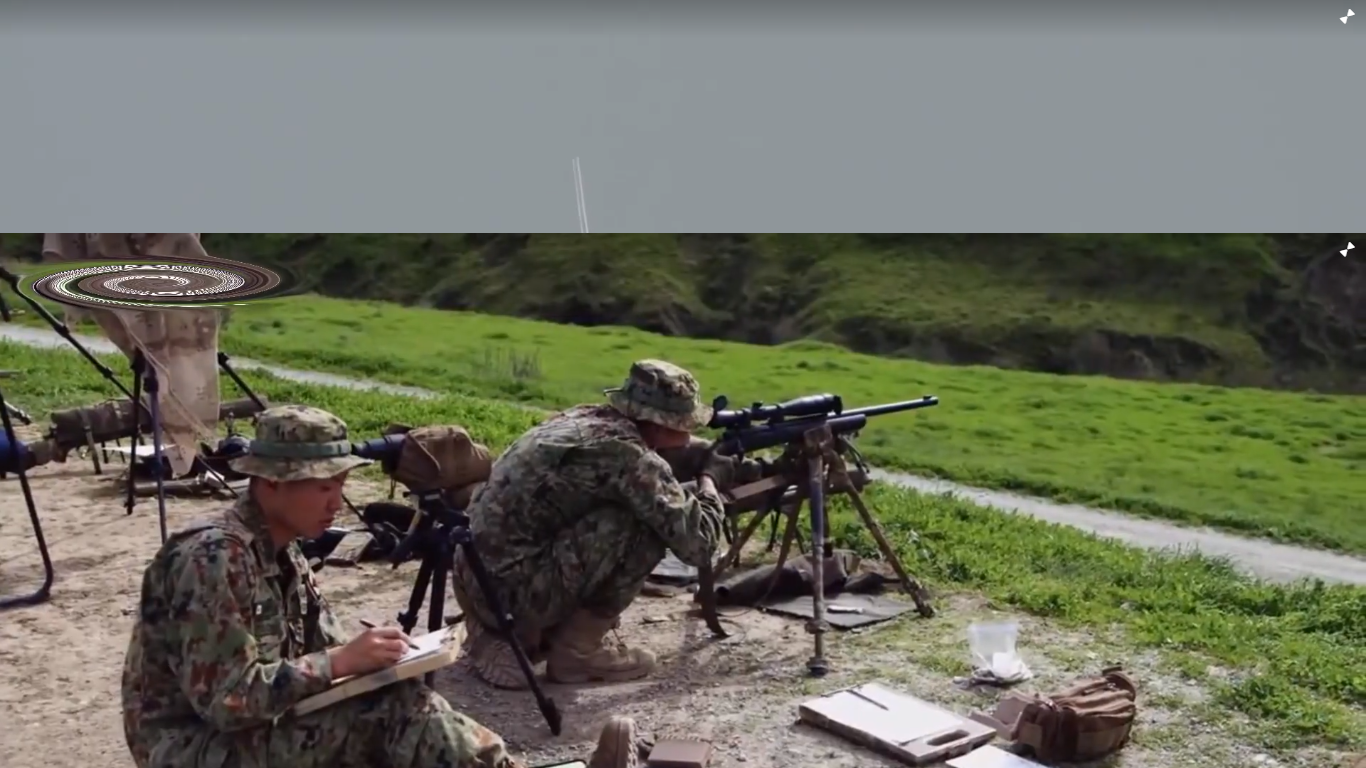 Válka a zbraně II, Film Popular