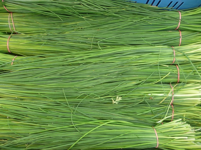 Farmářské trhy na Rajské zahradě v červnu