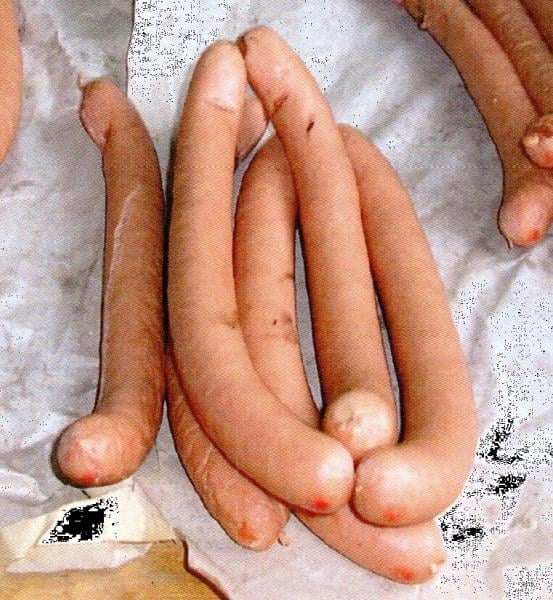 Výrobna Pavel Stoklasa, Česká Lípa: Tenké párky - výrobek obsahoval nadlimitní množství benzo[a]pyrenu a sumy čtyř polycyklických aromatických uhlovodíků (benzo[a]pyrenu, benzo[a]anthracenu, benzo[b]fluoranthenu a chrysenu). Polycyklické aromatické uhlovodíky je skupina kontaminujících látek s různě silnými mutagenními a karcinogenními vlastnostmi.