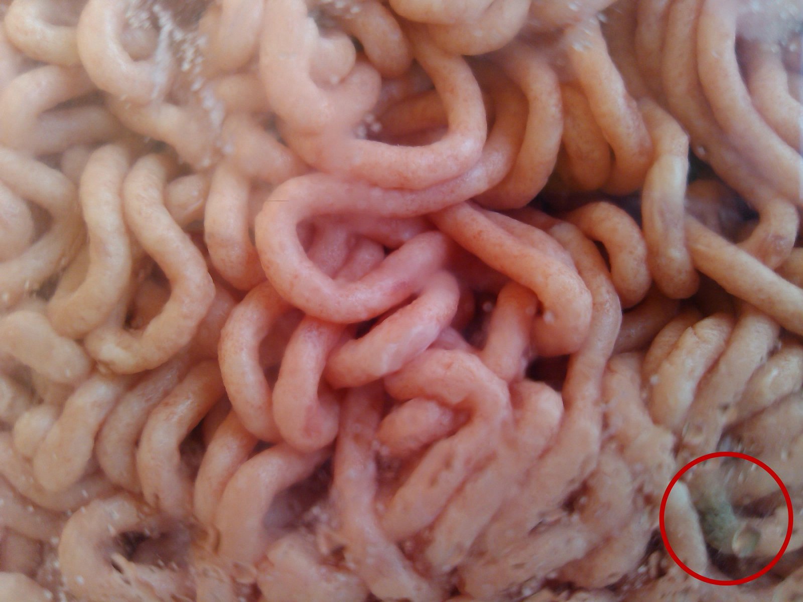 Výrobek z mletého masa MIX, polotovar, rekordman s nejnižším podílem masa: 53,2 %. Za 0,48 kg zaplatíte 36,90 Kč. Kilo polotovaru stojí 76,90 Kč. Vyrábí se v POlsku, prodávající Ahold. Ve složení	je voda, tuk, pšeničná vláknina, vepřový protein, stabilizátory, antioxidanty, glukózový sirup, zvýrazňovač chuti a vůně, sůl, aroma. Už v krámě nebylo v nejlepší kondici.
