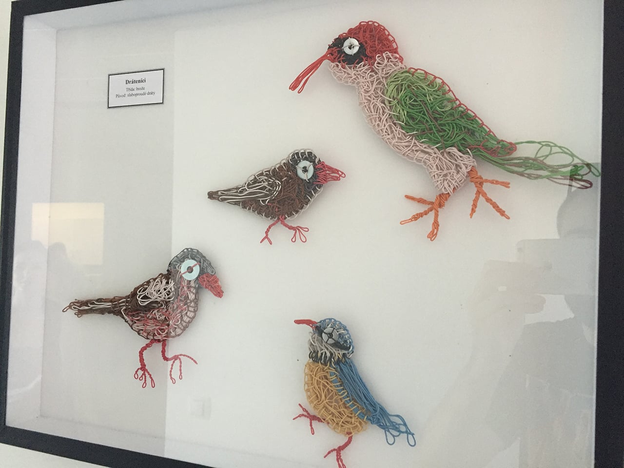 Ptáci z drátků.