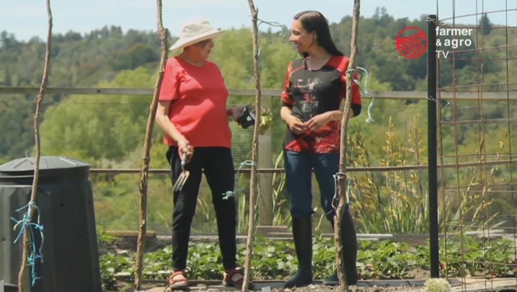 Nové hvězdy na satelitním nebi 15.-16. května