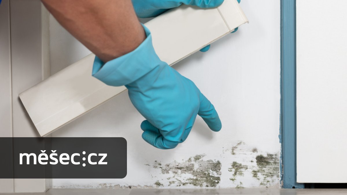 Do bytu pronikala vlhkost ze společných prostor. Nejvyšší soud vyložil, jak se bránit