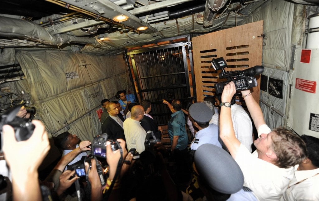 2011-01-slonc3ad-stc3a1do-v-prac5beskc3a9-zoo-posc3adlily-dvc49b