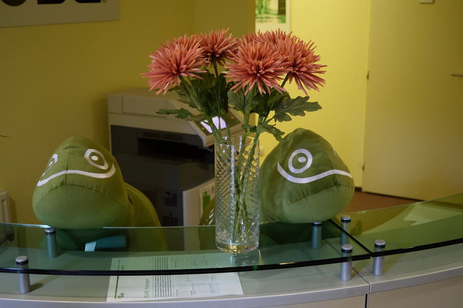 Recepční jsou sice málomluvné, ale zato se rády nechají pohladit.