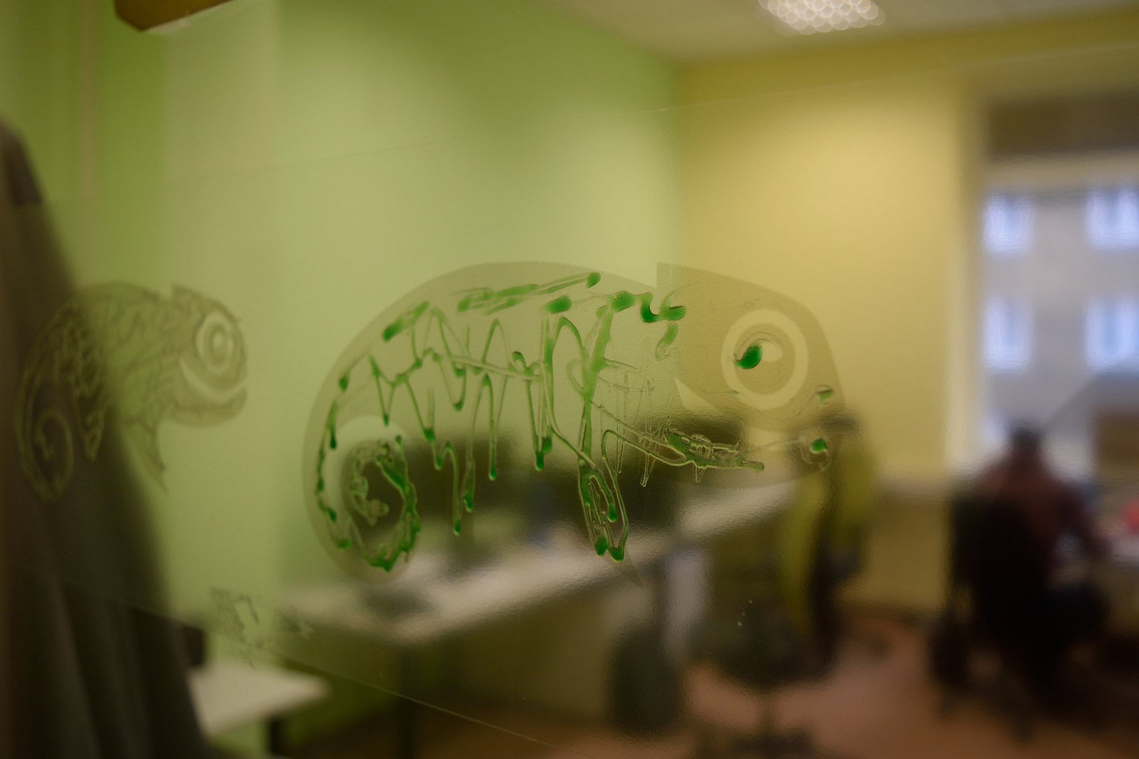 Chameleóni jsou k nalezení vlastně úplně všude po SUSE, bohužel žádný živý.