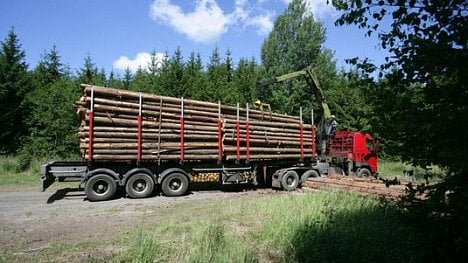 Náhledový obrázek - Klády místo výrobků: vývozem dřeva se Česko řadí na úroveň rozvojových zemí