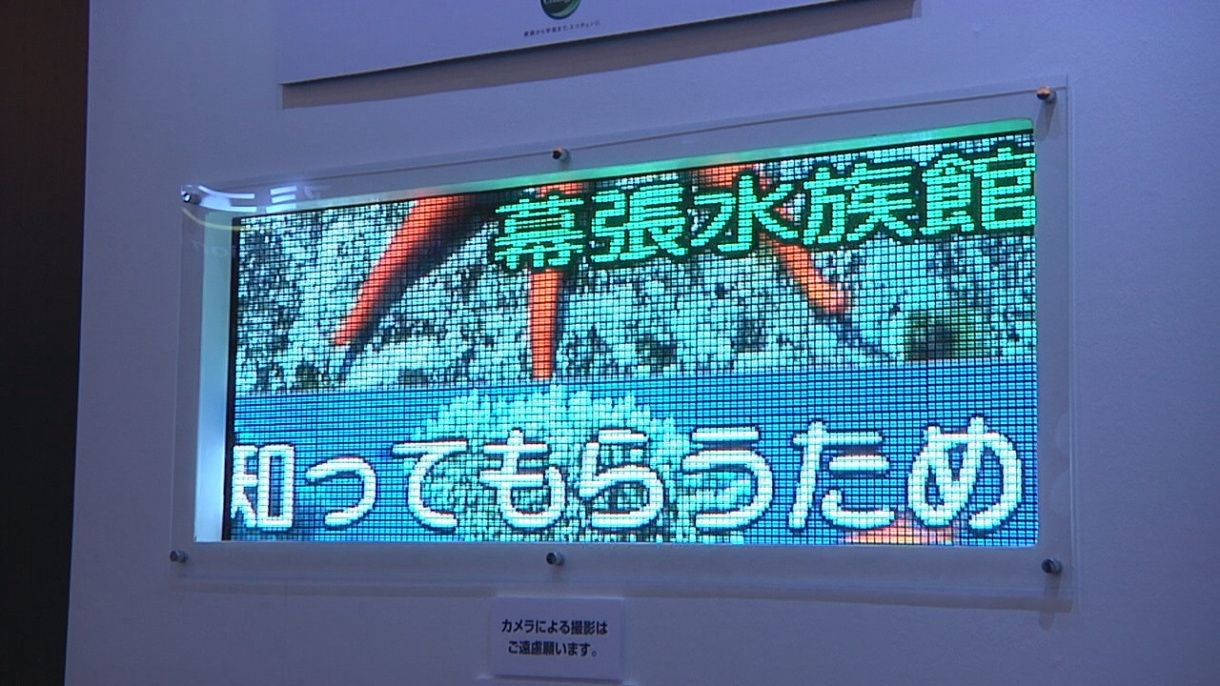 Mitsubishi OLED CEATEC 2009