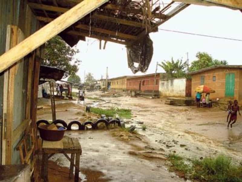 2010-03-pobc599ec5bec3ad-slonoviny-nc3a1vc5a1tc49bva-se-nedoporu