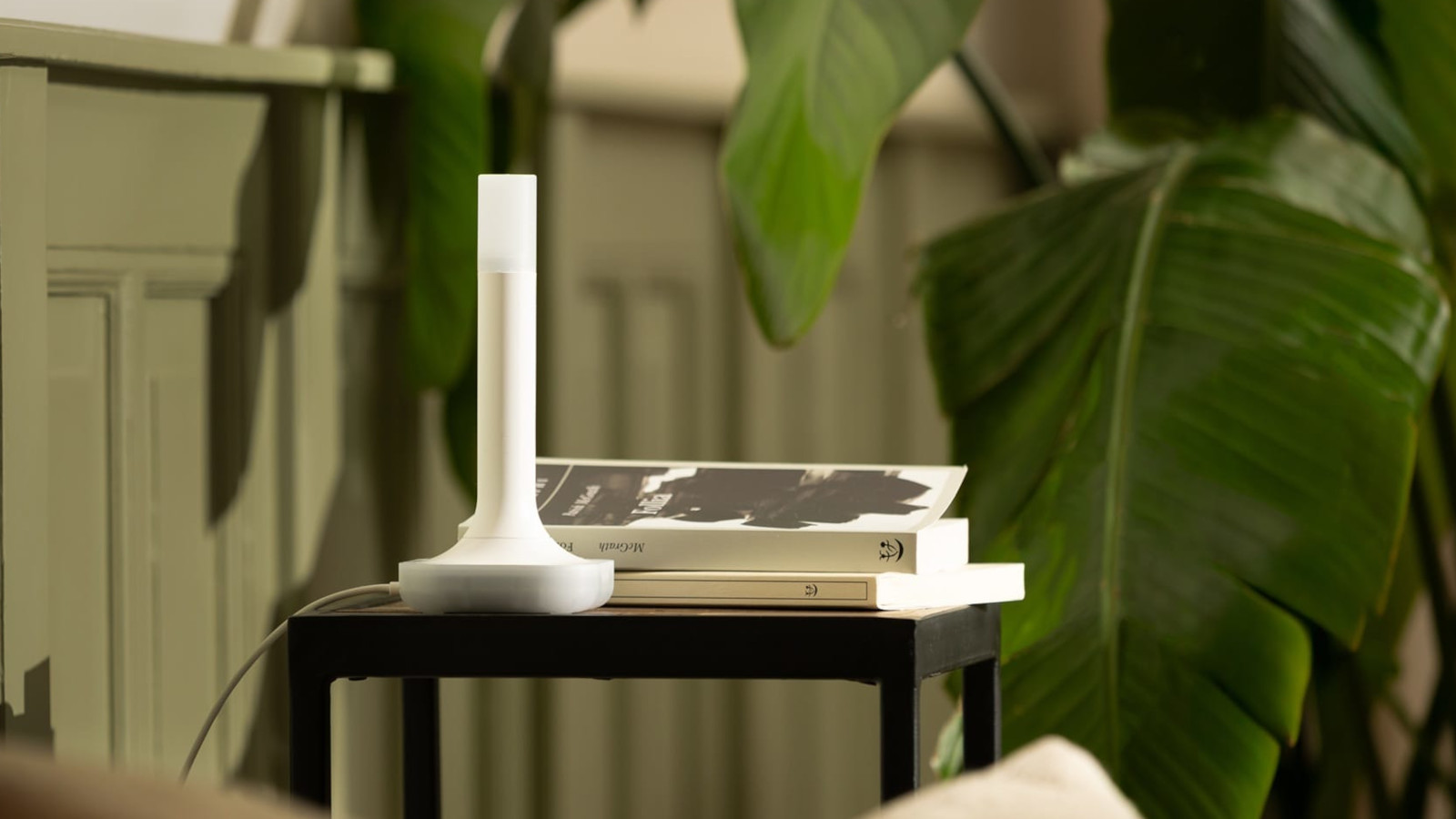 Home Assistant Connect ZBT-2