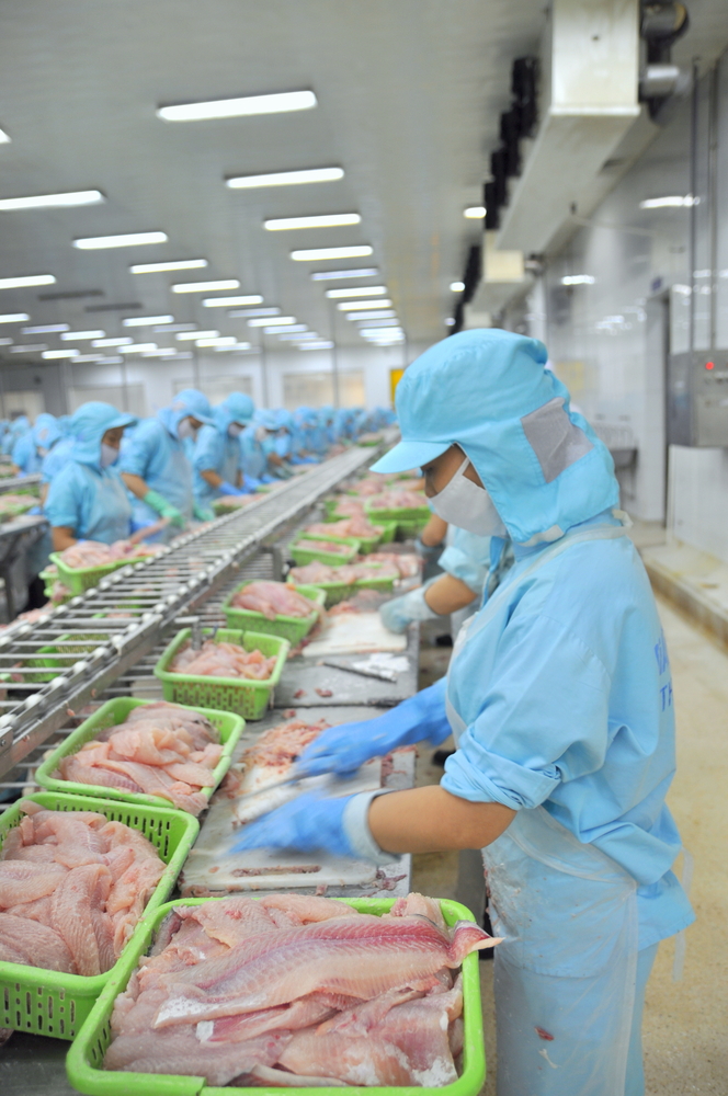 Takhle se zpracovávají mořské plody ve Vietnamu