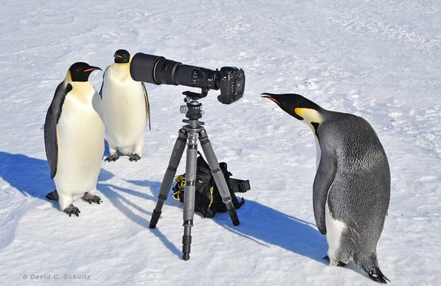 Hoši, tak nám už funguje ten ovladač k foťáku!