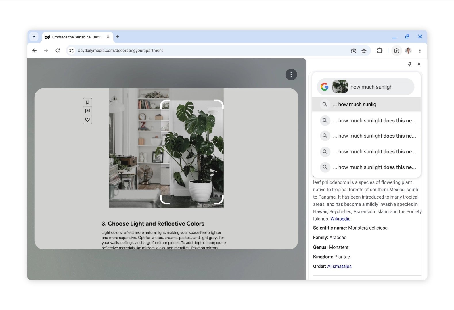 Google Lens vám například najde jméno květiny a informace o ní