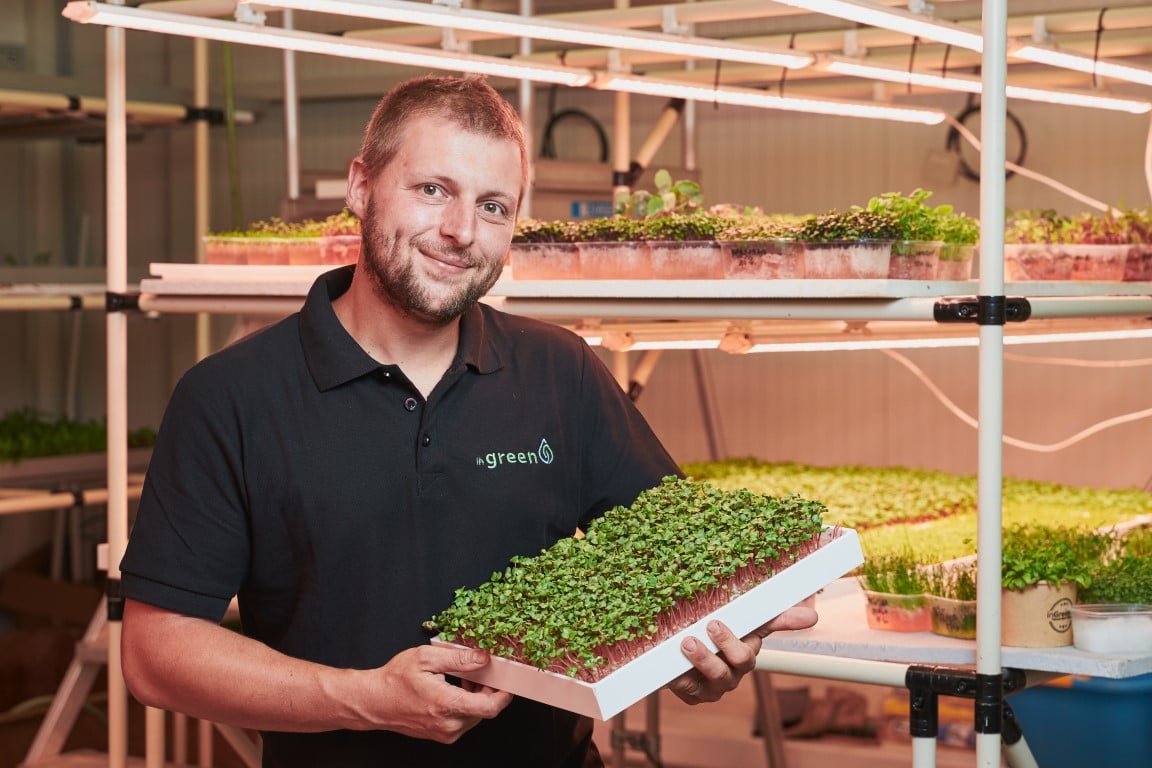 Pěstírna microgreens moravské farmy inGreen