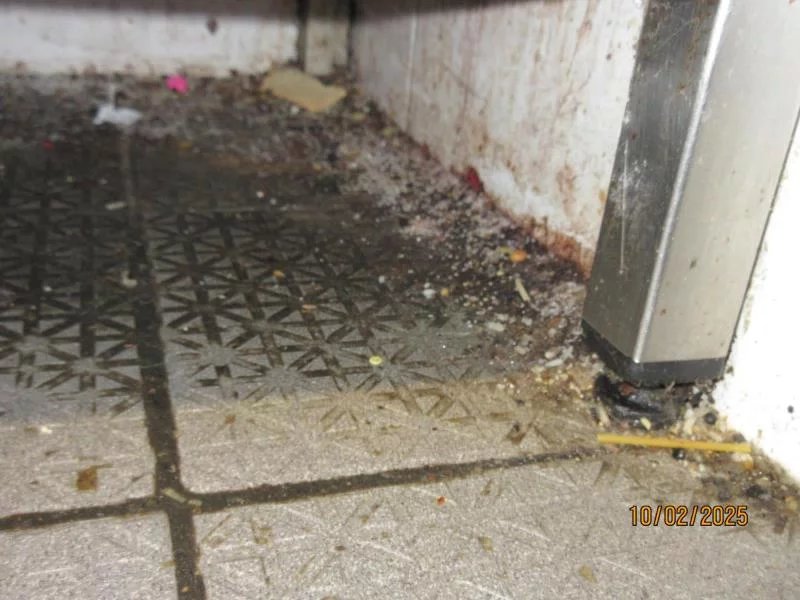 Jak to vypadalo v Butchers při kontrole SZPI