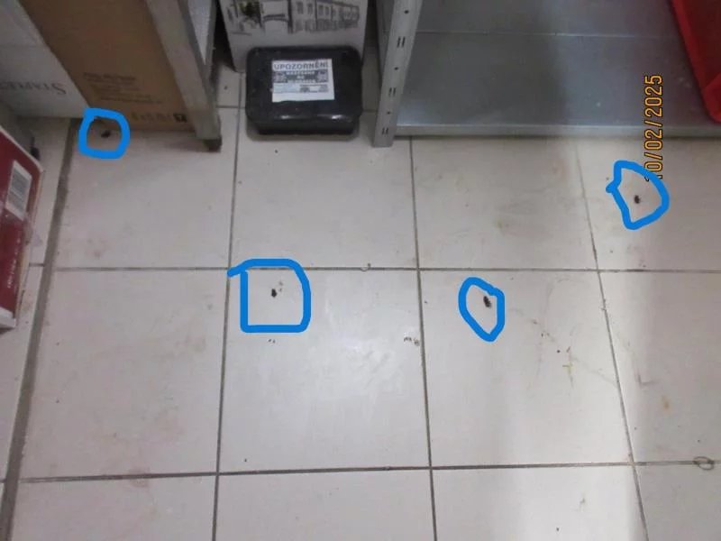 Jak to vypadalo v Butchers při kontrole SZPI