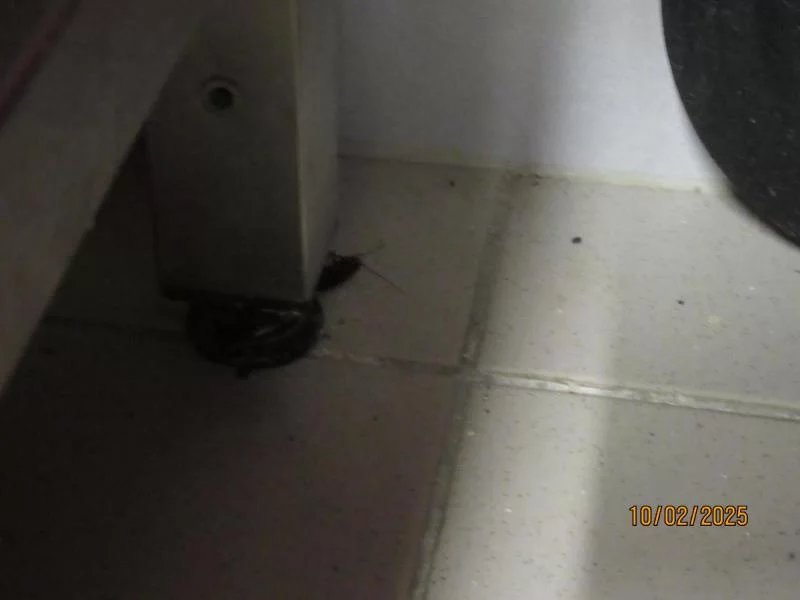 Jak to vypadalo v Butchers při kontrole SZPI