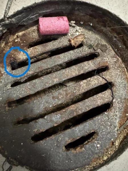 Jak to vypadalo v Butchers při kontrole SZPI