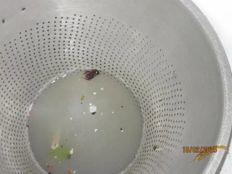 Jak to vypadalo v Butchers při kontrole SZPI