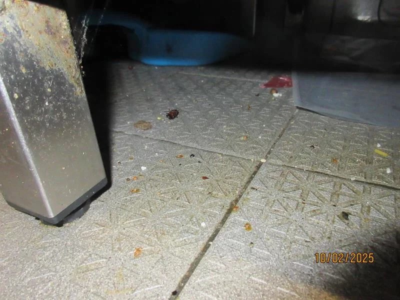 Jak to vypadalo v Butchers při kontrole SZPI