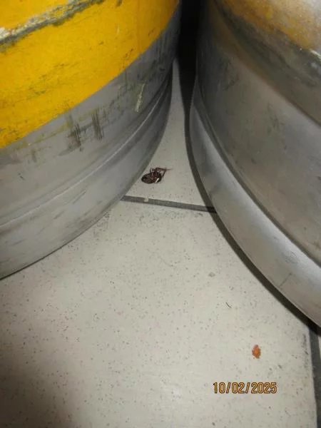 Jak to vypadalo v Butchers při kontrole SZPI