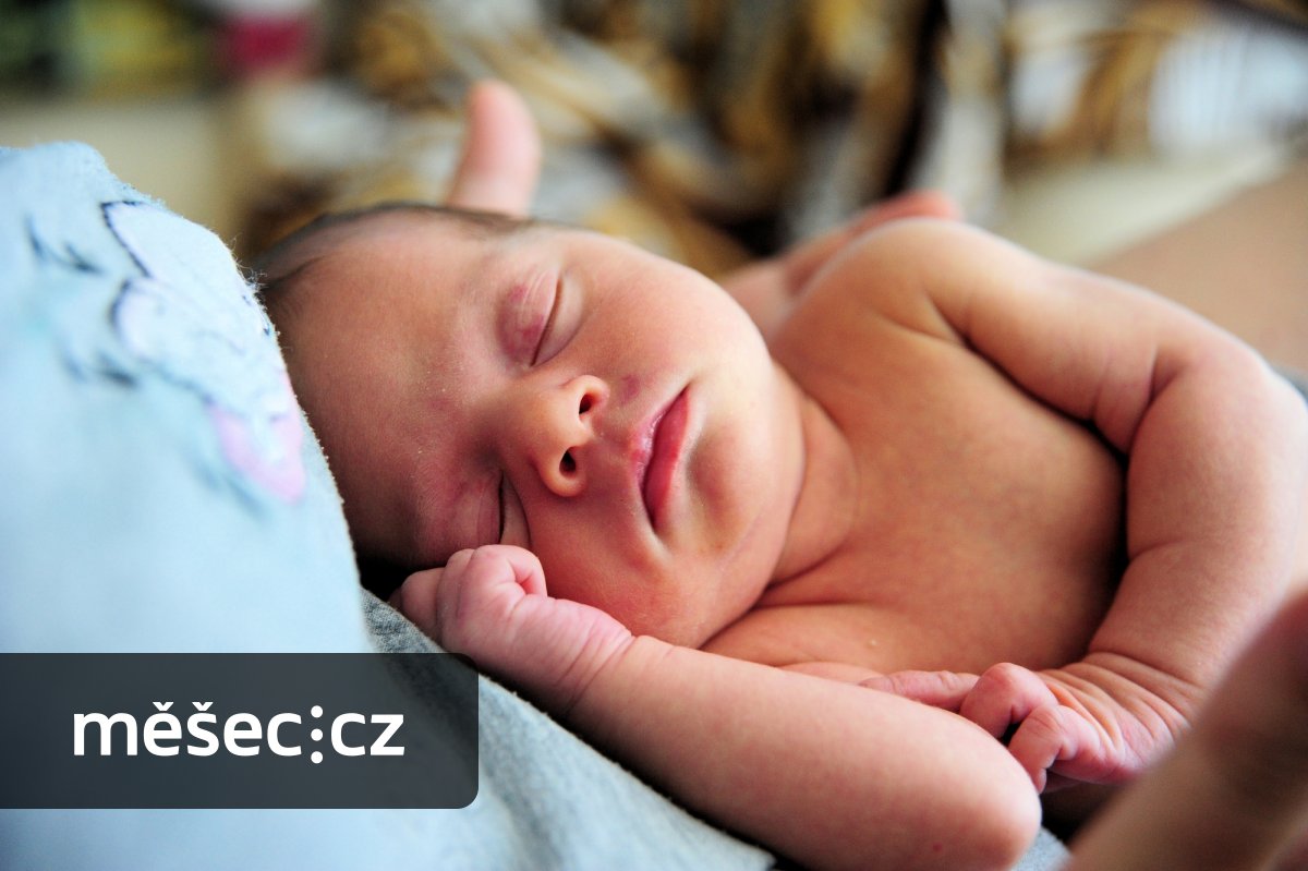 Nová podpora pro maminky. Návštěvy porodní asistentky během šestinedělí automaticky proplatí stát