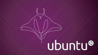 Ubuntu 26.10 Stonking Stingray