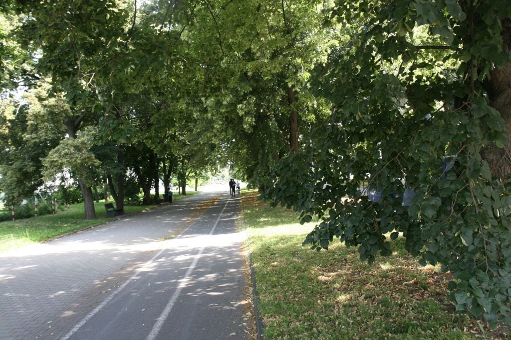 Bolt koloběžky v Olomouci