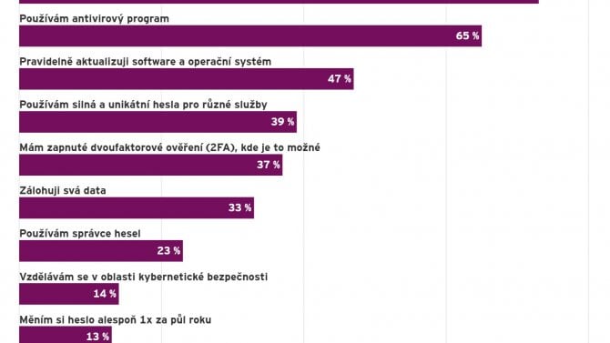 EY průzkum kybernetické hrozby