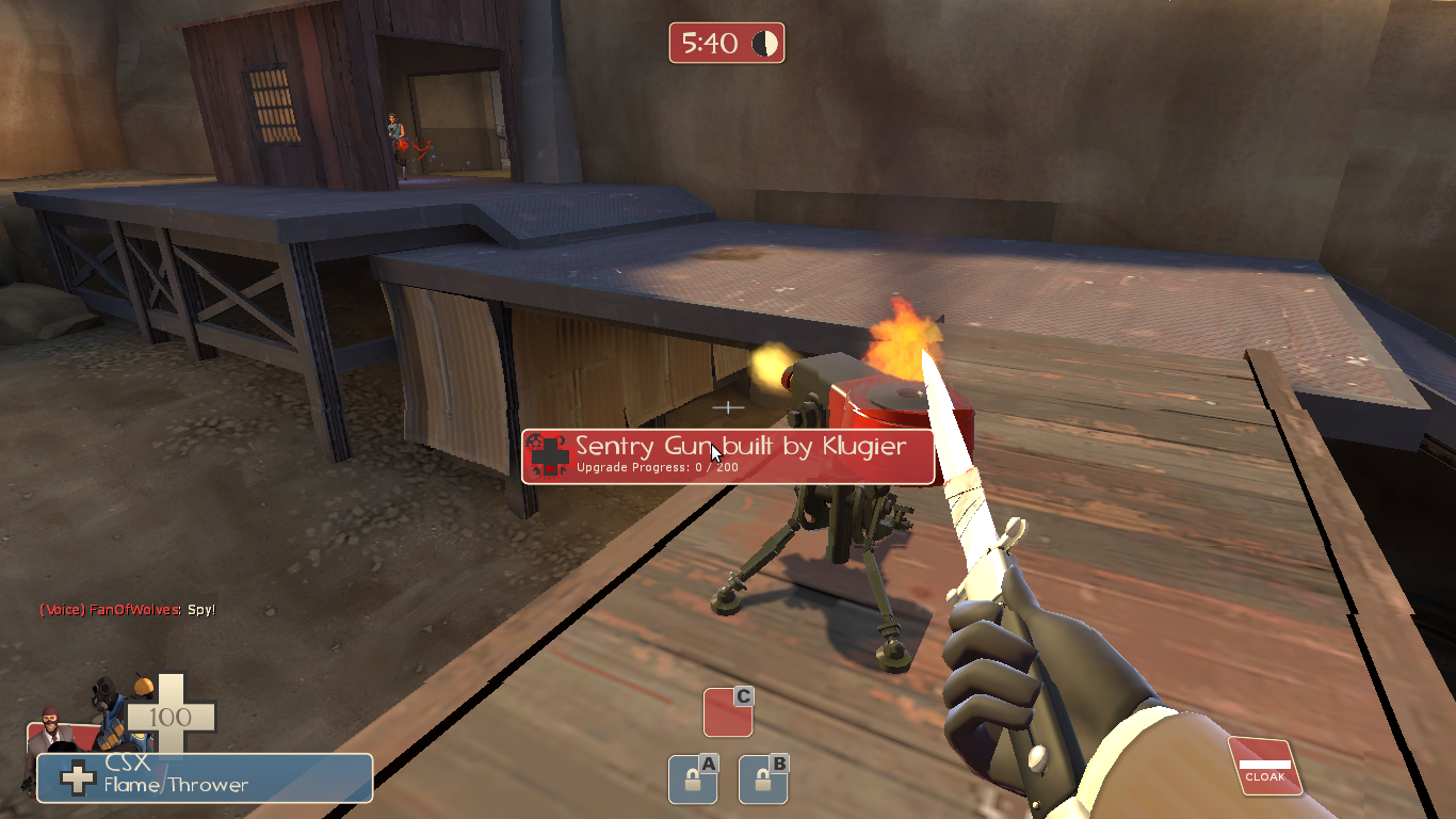 Steam Team Fortress 2