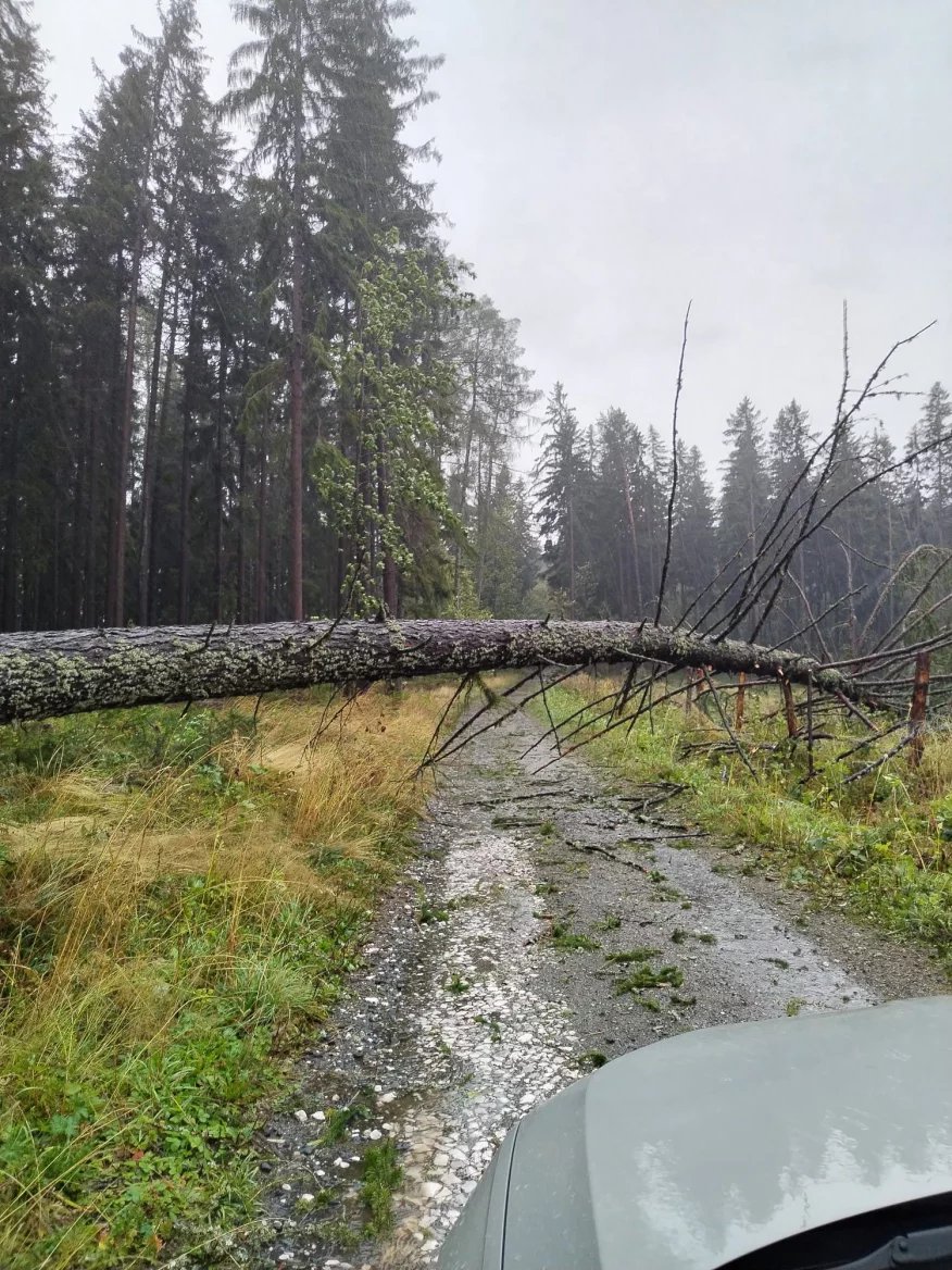 Technici se nemohou dostat k vysílači ve Strážném nedaleko Vrchlabí, na cestě leží spadlý strom.