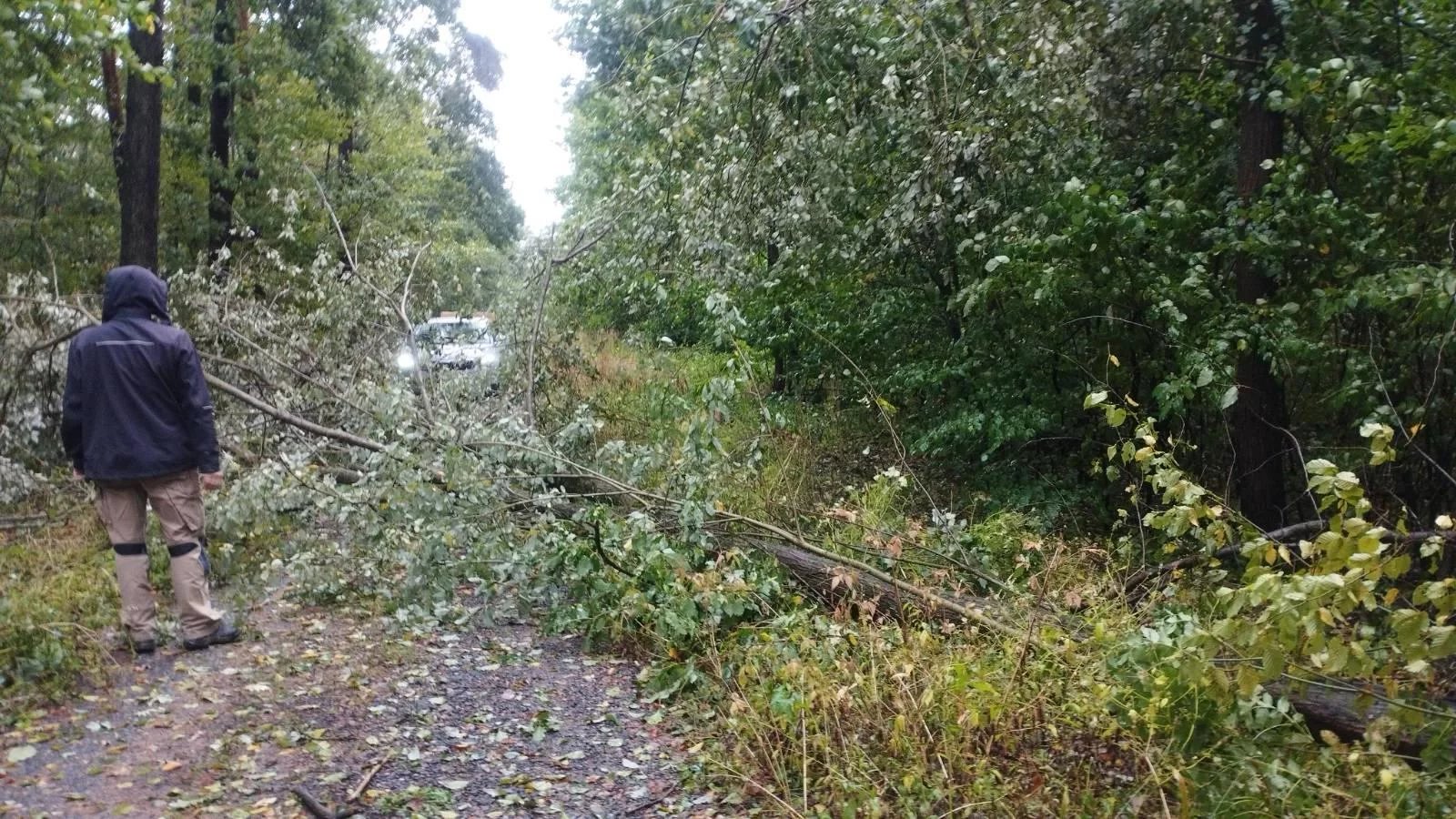 Cestu k základnovým stanicím technikům komplikovaly popadané stromy.